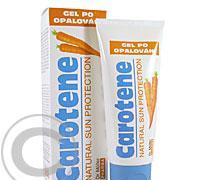 Carotene zklidňující gel po opalování 100 ml (Dr.Müller)