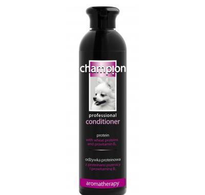 CHAMPION Kondicionér s obsahem proteinů 250 ml     : VÝPRODEJ exp. 2015-04-29