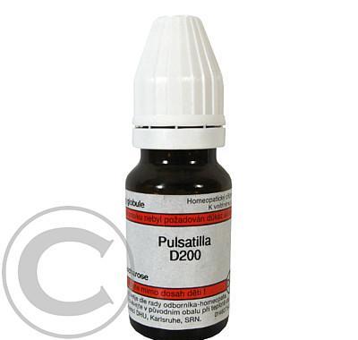 PULSATILLA GLO 8GM D200